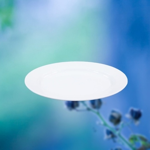 đĩa bầu dục phíp vn 1209-1