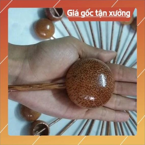 Gáo rượu dừa bé