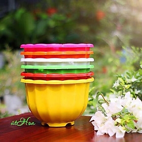 Chậu treo bí lớn đủ màu (kèm quai treo) - Xanh lá