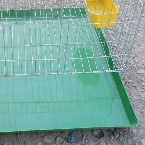 khay nhựa hứng phân 50x50, 50x60,50x55 cho lồng nuôi chim, gà, chó,mèo aladanh-net-vn