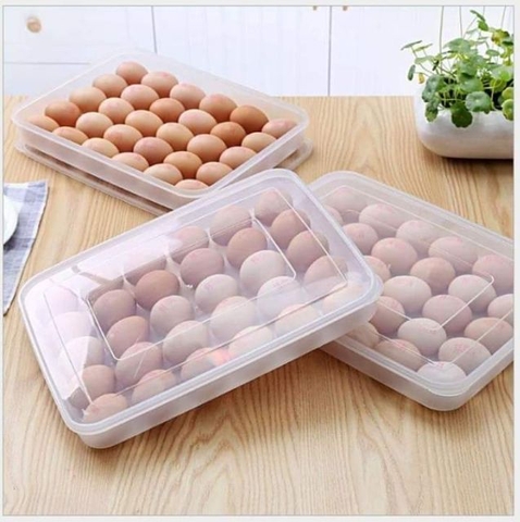 Hộp đựng trứng 24 quả có nắp đậy nhựa Việt Nhật (6786), khay bảo quản trứng không bị vỡ chắc chắn  aladanh-net-vn