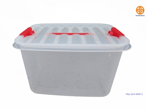 Hộp lạnh chất liệu nhựa Việt Nhật cao cấp, 6699 bền đẹp có quai xách có khóa tiện lợi kích thước 27*20*17 cm aladanh-net-vn