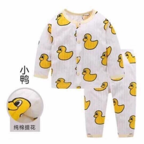 Bộ Con Vịt Mícki