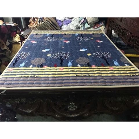 Thảm Trải Ga Giương Nhung Loạ 1M8* 2M