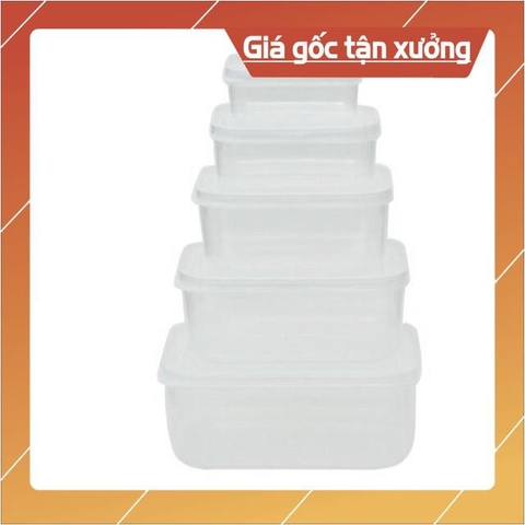 Bộ hộp lạnh bầu 5 chiếc Việt Nhật