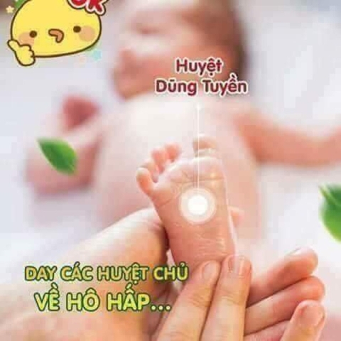 Tác Dụng Của Dầu Tràm Đối Với Sức Khỏe Của Bé