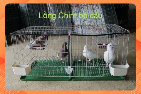 Lồng Chim Bồ Câu Loại 3.2KG chưa bao gồm phụ kiện 50x1m giá rẻ nhuavietnhat