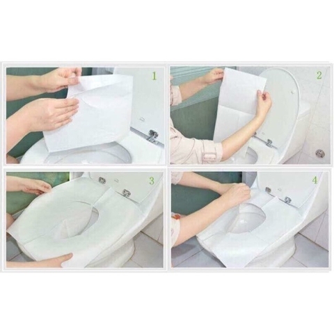 Giấy Toilet 1 Hộp 250 Cái