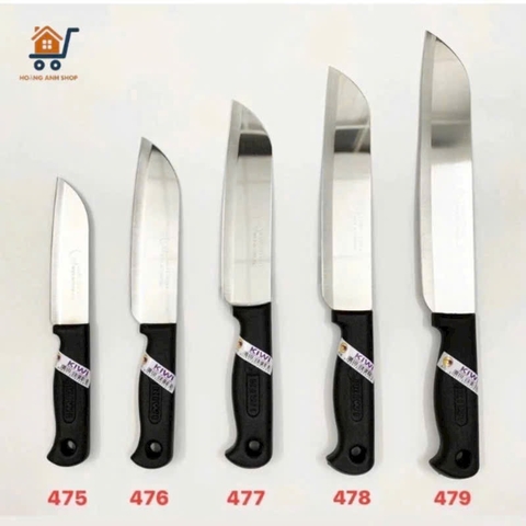 dao thái 479