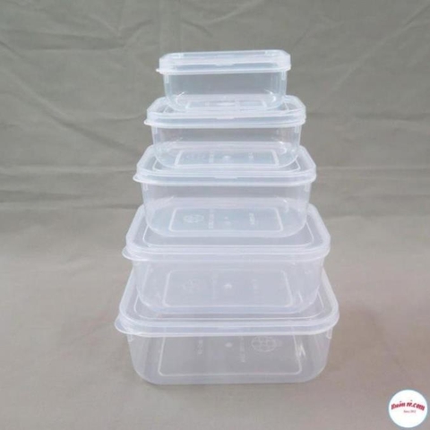 Bộ 5 hộp lạnh bầu đựng thức ăn Việt Nhật -Hộp trữ đồ đông đồ ăn dặm cho bé (MS:6685) an toàn tiện lợi - br 01285