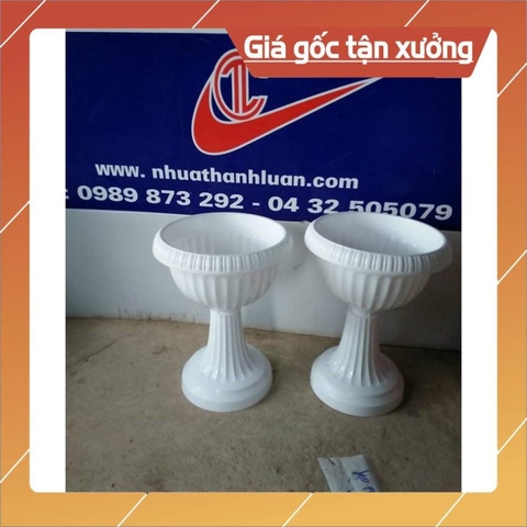 chậu trồng hoa địa lan đủ cỡ màu trắng