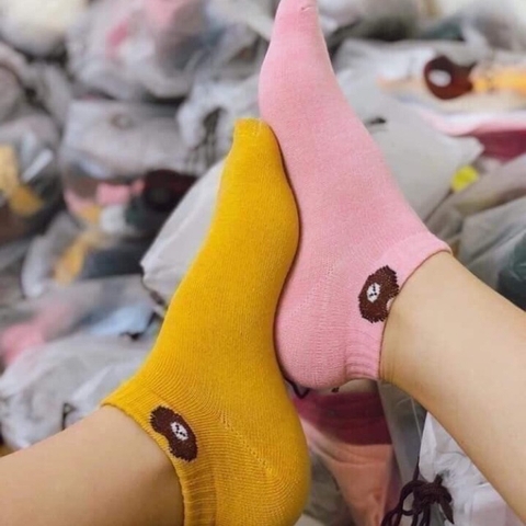 Tất Gấu Nữ Cổ Ngắn 10 Đôi Tặng Kèm Túi Đựng Cực Đẹp