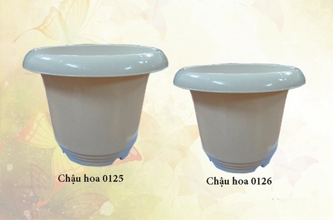 chậu hoa No 0126