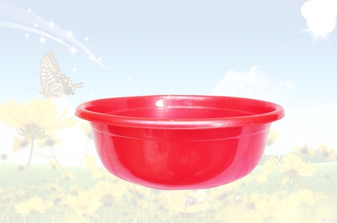 chậu No 5558 - 2558
