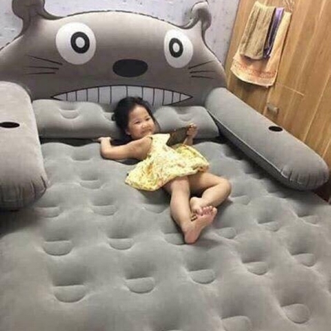 Giường Hơi Hình Thú 15*19M