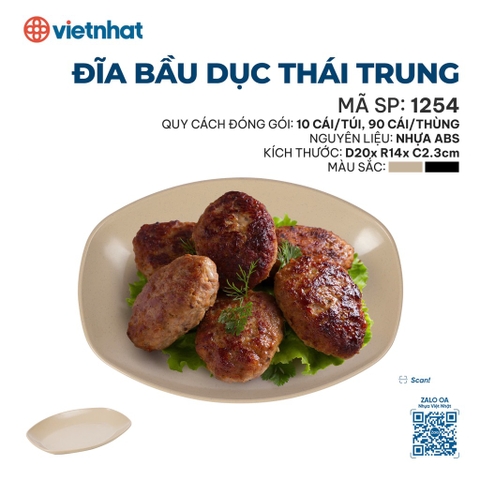 ĐĨA BẦU DỤC THÁI TRUNG 1254