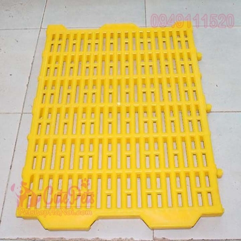 Sàn nhựa vàng 40x55cm lót chuồng chó lớn - lót sàn lợn bền đẹp an toànaladanh-net-vn