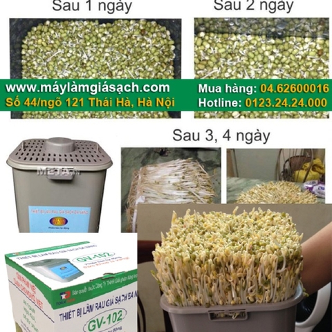 Máy Làm Giá Sạch Tự Động