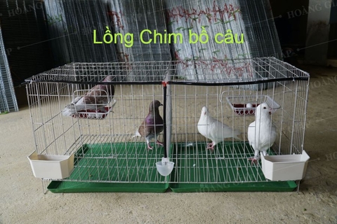 Lồng Chim Bồ Câu Loại 3.2KG chưa bao gồm phụ kiện 50x1m giá rẻ aladanh-net-vn