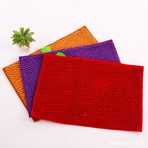 Thảm chùi chân san hô 2 lớp loại lớn size 30x50cm cao cấp TCC01 - Màu ngẫu nhiên – aladanh-net-vn