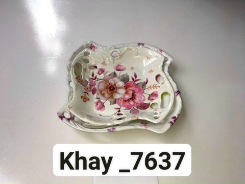 đĩa phíp TL D7637
