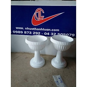 chậu trồng hoa địa lan đủ cỡ màu trắng - Cỡ nhỏ-No 2235