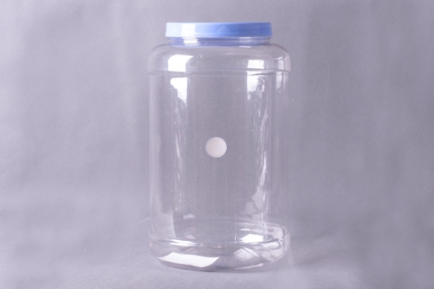 lọ keo 10kg