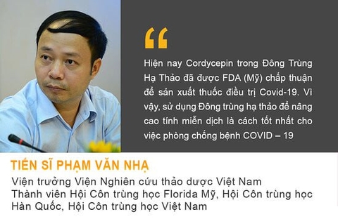 ĐÔNG TRÙNG HẠ THẢO 10 viên