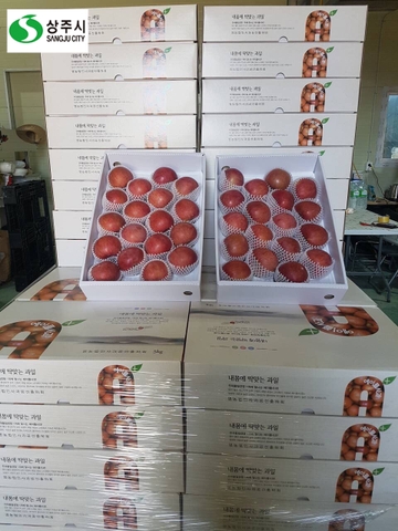 Táo Sangju Hàn Quốc (Hộp 5kg)