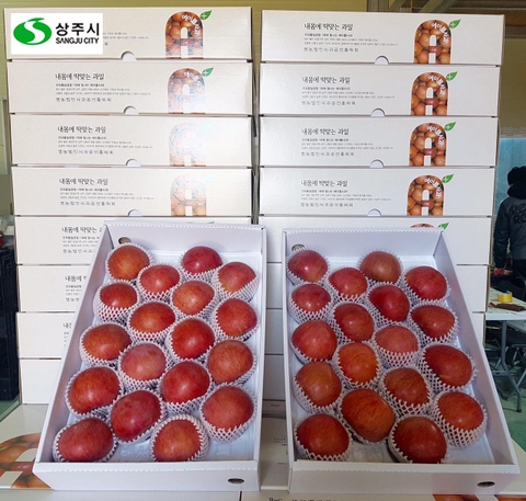 Táo Sangju Hàn Quốc (Hộp 5kg)