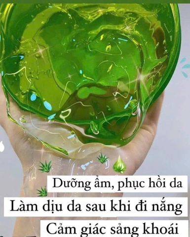 Gel Lô Hội Aloe Vera 99% 300ml