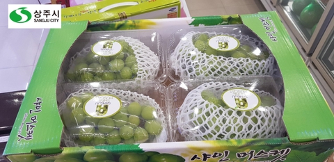 Nho sữa Sangju Hàn Quốc (Thùng 4 chùm - 3,2kg)