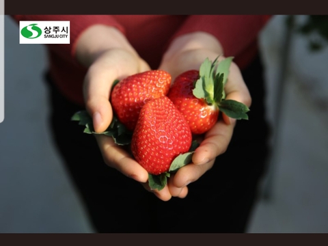 Dâu tây Sangju Hàn Quốc (Hộp 300gr - 6 quả)