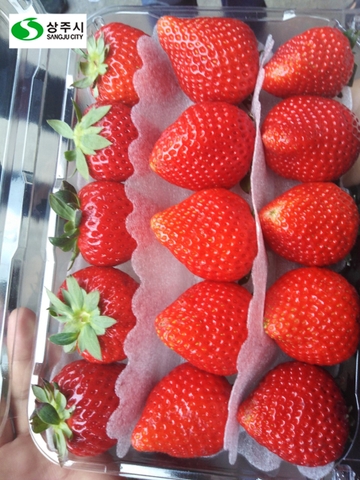 Dâu tây Ariyang Hàn Quốc (Hộp 1,2kg; 12-16 quả)
