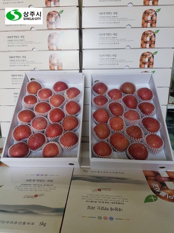 Táo Sangju Hàn Quốc (Hộp 5kg)