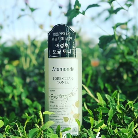 Nước hoa hồng diếp cá Mamonde Pore Clean Toner cho da dầu 250ml