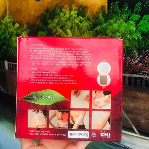 Miếng dán thải độc chân Hàn Quốc GOLD Detox Foot Patch (30 miếng)