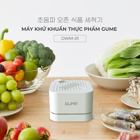Máy khử khuẩn thực phẩm Gume Hàn Quốc OWM-01