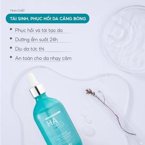 Serum dưỡng ẩm phục hồi da GC Derma Science HA+ B5 100ml