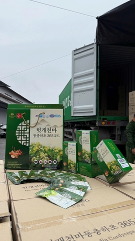 MÁT GAN ĐÔNG TRÙNG 365- 30 gói x 70ml