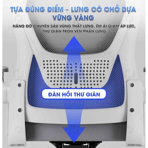 Ghế công thái học HTD-588 Ghế xoay văn phòng