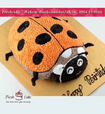 Bánh sinh nhật 3D con bọ rùa đáng yêu [MS:1079]