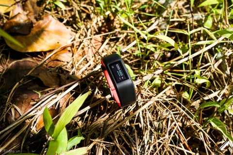 Trên tay Garmin Vivo Sport: Nhẹ, đeo như không đeo, GPS nhịp tim đầy đủ, màn hình màu