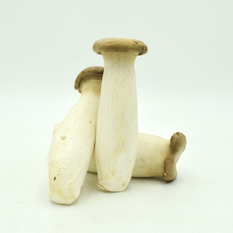 Nấm đùi gà (400g)