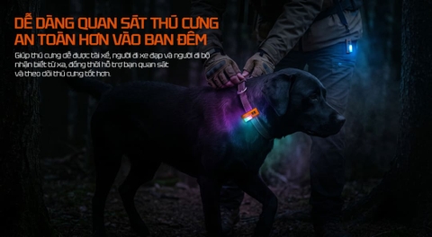 Đèn Pin EDC Đa Màu Sắc ACEBEAM UC3A – 900 Lumens, RGB 270°, Pin Thay Thế