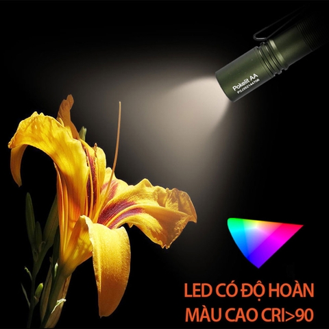 Đèn pin ACEBEAM POKELIT AA độ sáng 550lm chiếu xa 86m pin 14500 độ hoàn màu cao