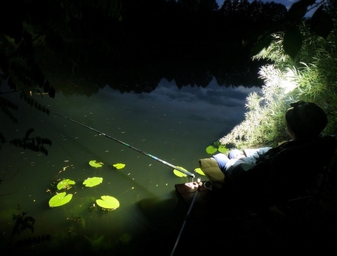 Đèn pin đội đầu SOFIRN SP40 độ sáng 1200lumen chiếu xa 136m