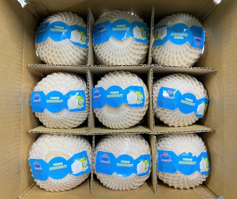 Fresh Young Coconut