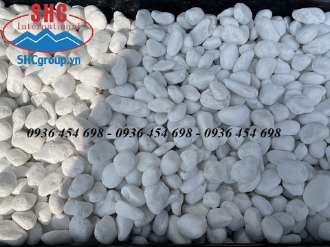 SỎI TRẮNG MUỐI QUAY CAO CẤP