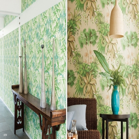 Giấy Dán Tường Nhật BB-8755